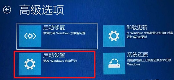 win11红警黑屏只能看见鼠标(win11突然黑屏)