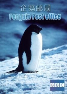 BBC：企鹅邮局剧情介绍（BBC：企鹅邮局完整版分集剧情1集全，902字）