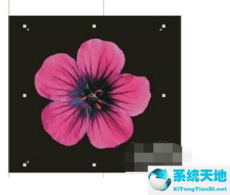 coreldraw9图片怎么去底色(coreldraw9复制的图片怎么去底色)