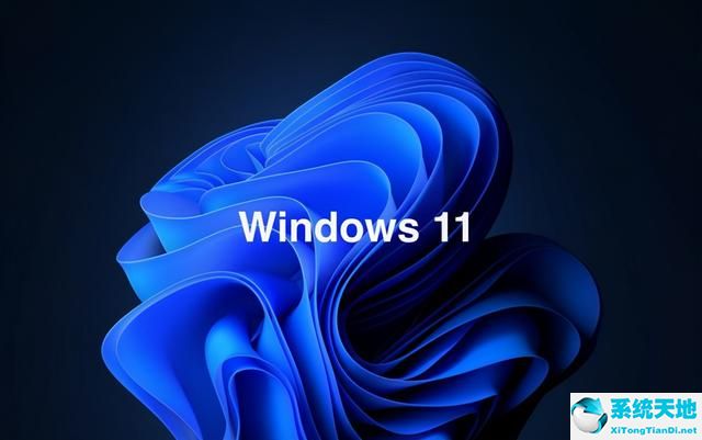 windows11 家庭版 专业版(win11专业版区别)