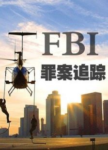 FBI：罪案追踪（第2季）剧情介绍（FBI：罪案追踪（第2季）完整版分集剧情13集全，644字）