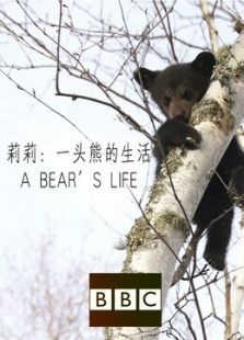 BBC：莉莉一头熊的生活剧情介绍（BBC：莉莉一头熊的生活完整版分集剧情1集全，468字）