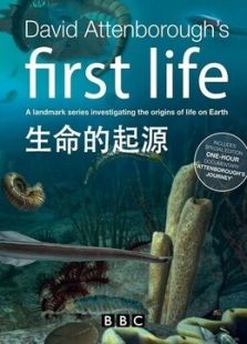 BBC：生命的起源剧情介绍（BBC：生命的起源完整版分集剧情3集全，674字）