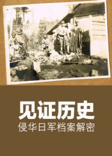 见证历史——侵华日军档案解密剧情介绍（见证历史——侵华日军档案解密完整版分集剧情1集全，982字）