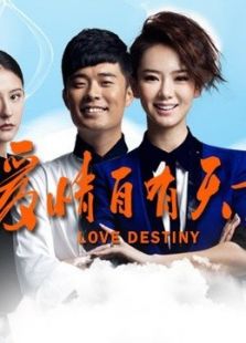 爱情自有天意TV版剧情介绍（爱情自有天意TV版完整版分集剧情84集全，809字）