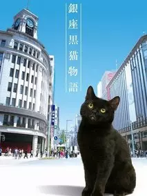 银座黑猫物语剧情介绍（银座黑猫物语完整版分集剧情共10集全，583字）