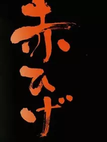 红胡子第一季剧情介绍（红胡子第一季完整版分集剧情共8集全，376字）