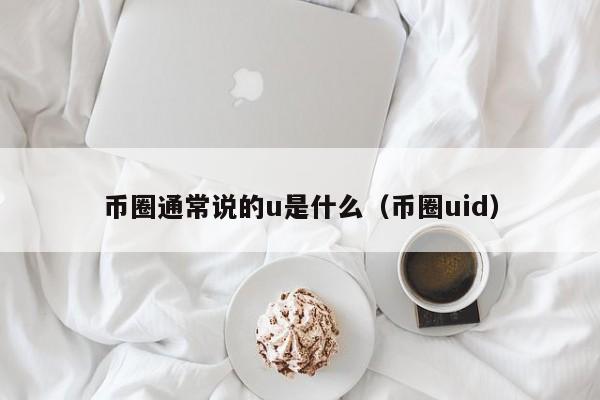 币圈里的u是什么