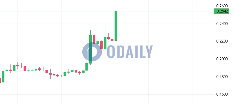 BLUR 突破0.25 USDT，24小时上涨19%