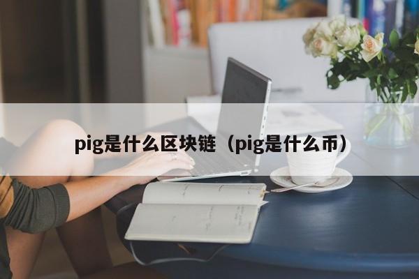 pig是什么区块链(pig是啥币)