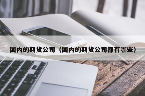 国内的期货公司(国内期货公司评级)