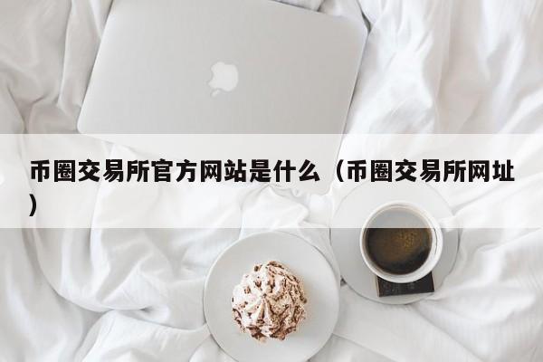 币圈交易所官方网站是什么(币圈交易所是什么意思)