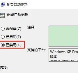 电脑win10暂停更新了为啥还自动更新(window10暂停更新7天是什么情况)