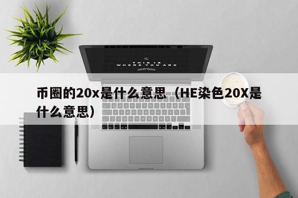 币圈的20x是什么意思(币圈1u)