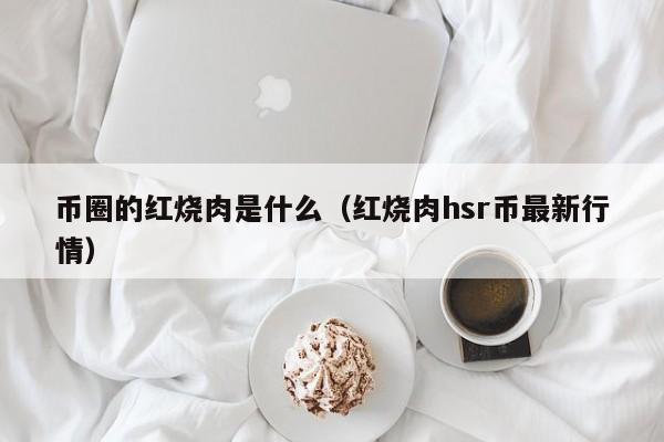 红烧肉hsr币最新行情