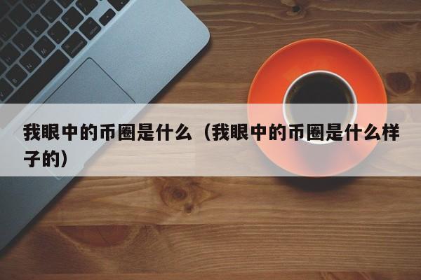 我眼中的币圈是什么(我眼中的货币议论文200字)