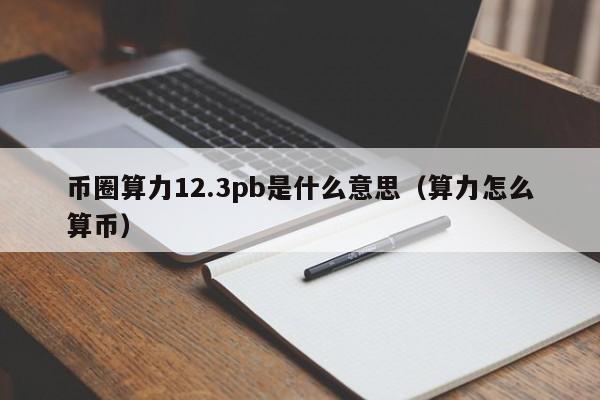 币圈算力12.3pb是什么意思(bhp算力币)