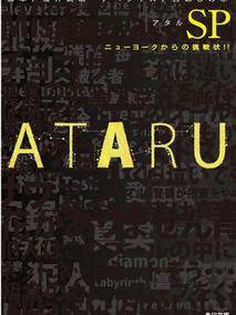 从纽约来的挑战信剧情介绍（从纽约来的挑战信完整版分集剧情共2集全，709字）