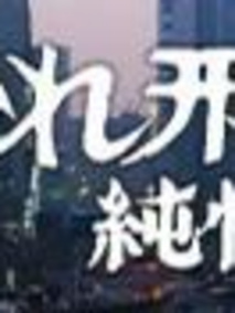 刑事纯情派17剧情介绍（刑事纯情派17完整版分集剧情共12集全，603字）