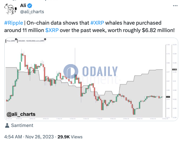 XRP鲸鱼在过去一周买入约1100万枚XRP