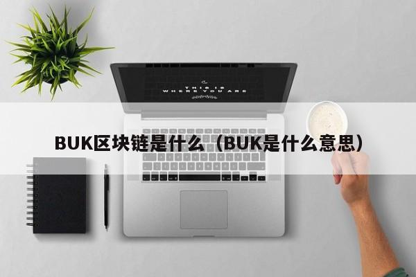 BUK区块链是什么(buk区块链价格)