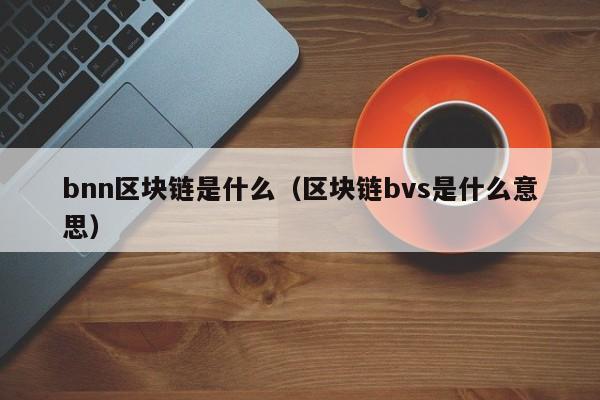 bnn区块链是什么(bsn区块链app下载)