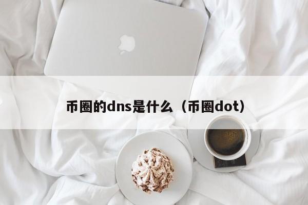 币圈的dns是什么(币圈dot)