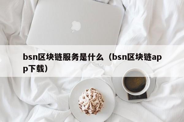 bsn区块链服务是什么(bsn区块链是什么意思)