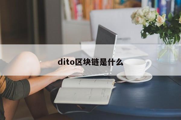 dito区块链是什么(区块链里的dife是什么)