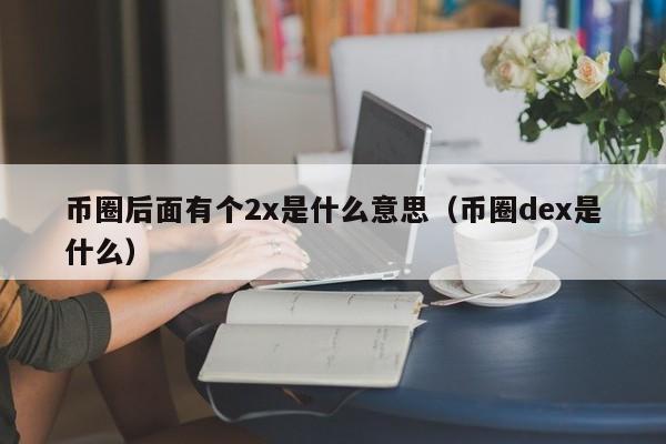 币圈后面有个2x是什么意思啊