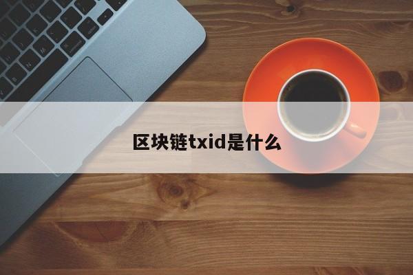 区块链txid是什么(tit区块链)