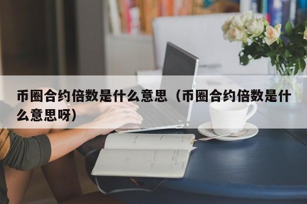 币圈合约倍数是什么意思(币圈的合约是怎么玩的)