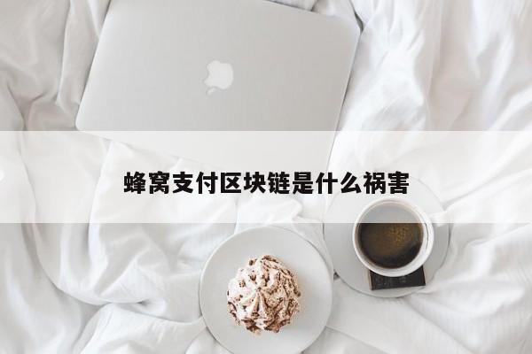 蜂窝钱包app现在怎么用不了