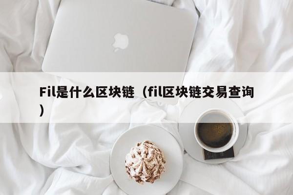 Fil是什么区块链(fil是币)