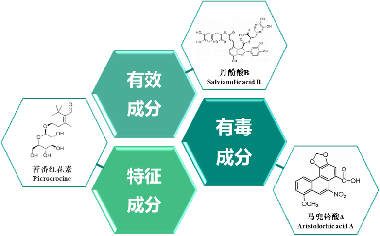 诗丹德：用标准赋能健康产业