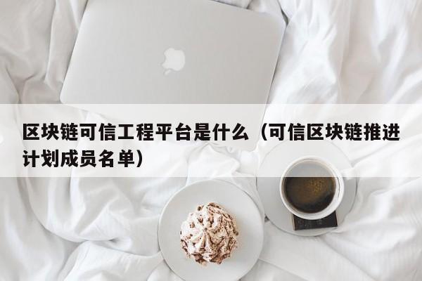 区块链可信工程平台是什么(建行区块链应用平台)