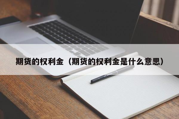 期货的权利金是什么意思