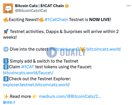 Bitcoin Cats宣布比特币L2网络1CAT Chain测试网上线