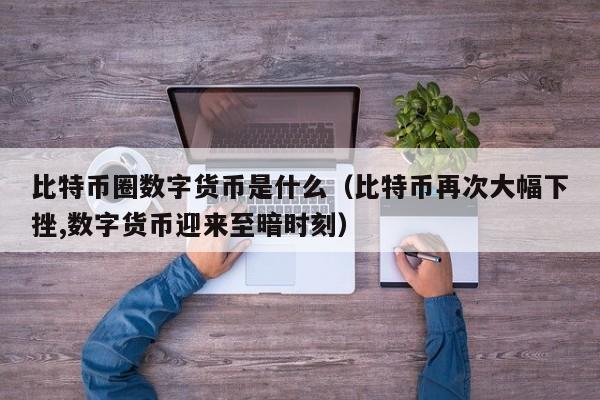 比特币圈数字货币是什么(比特币和数字货币初学指南)