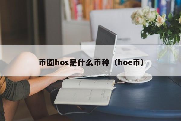 hodl币圈