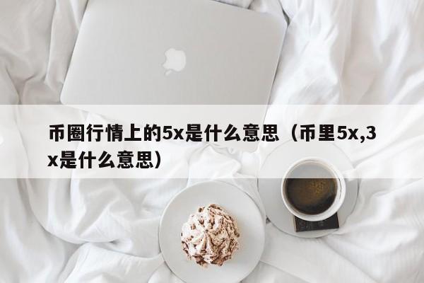 币种后面的5x是什么意思