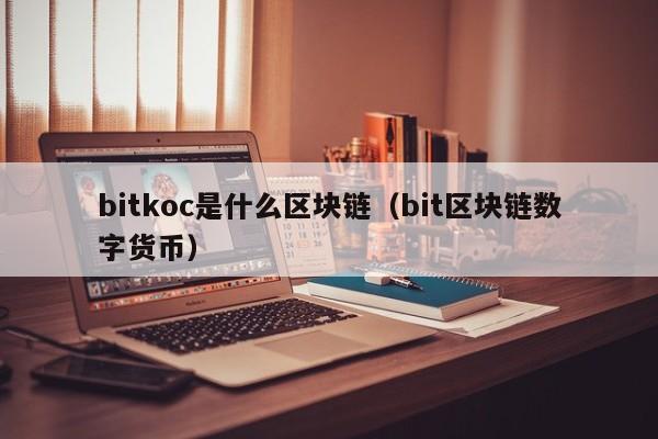 bitkoc是什么区块链(blockchain bitcoin)